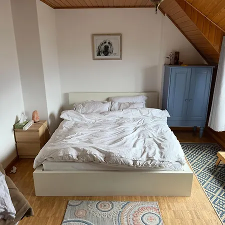 Spacious, Furnished Duplex In Vevey